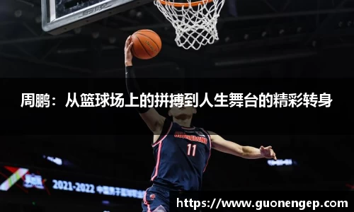  333体育登录注册